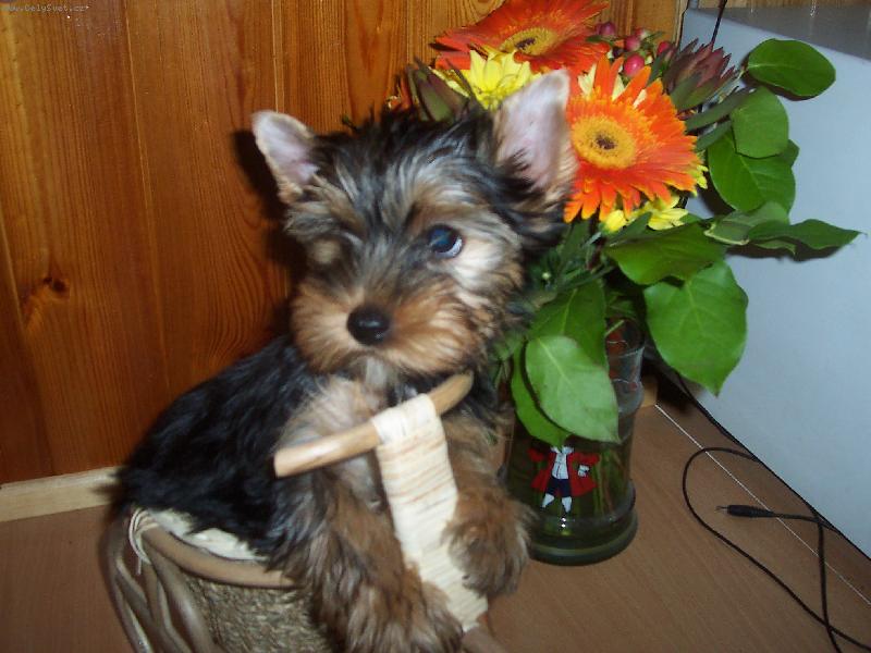 Foto: Dorotka
